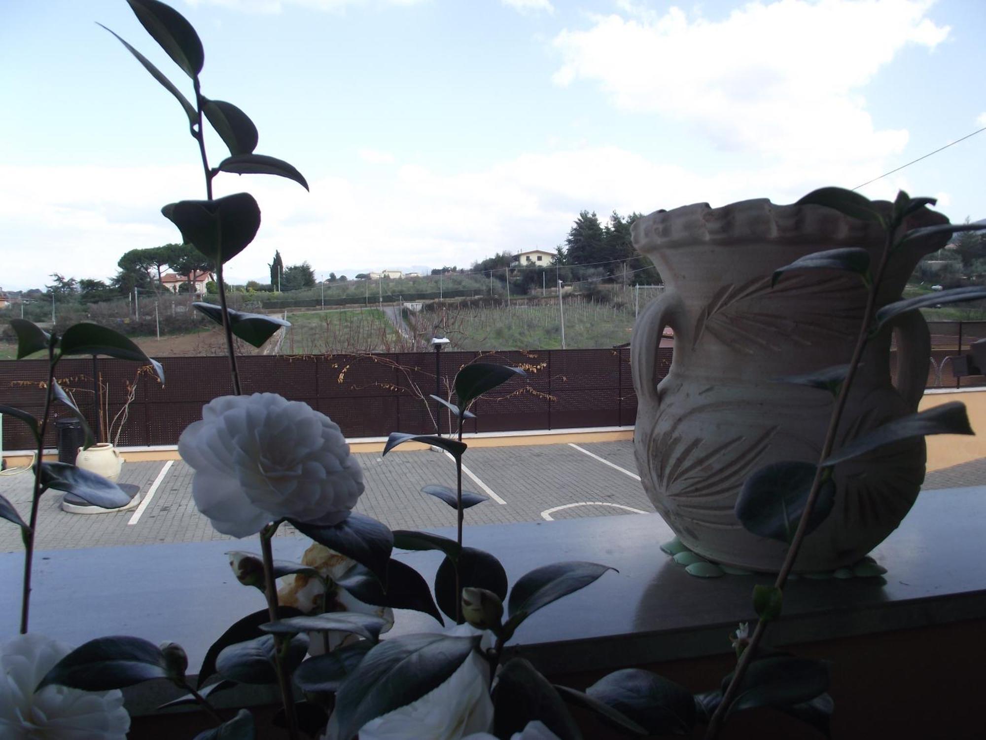 Affittacamere Stranamore Frascati Kültér fotó