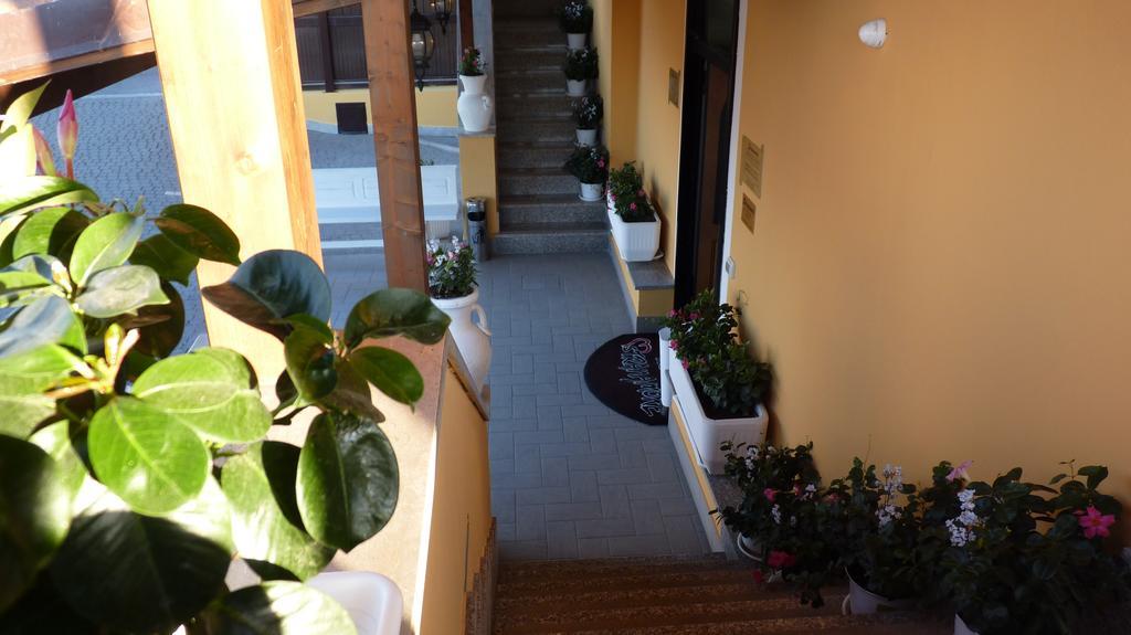 Affittacamere Stranamore Frascati Kültér fotó
