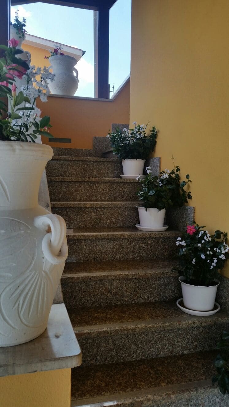 Affittacamere Stranamore Frascati Kültér fotó